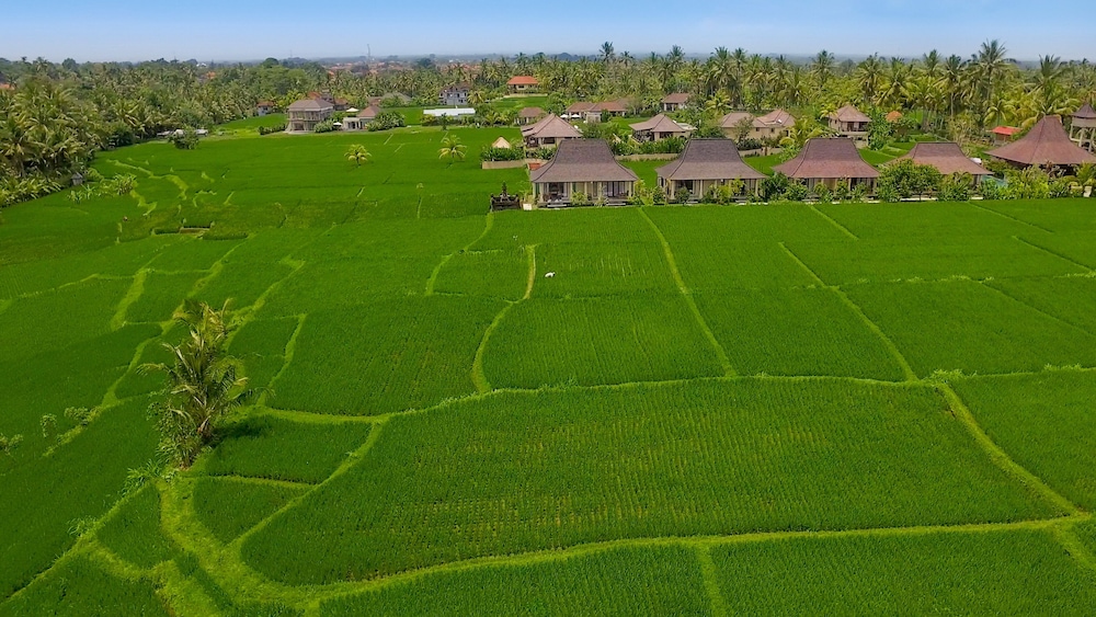 Masia Villa Ubud 62/67