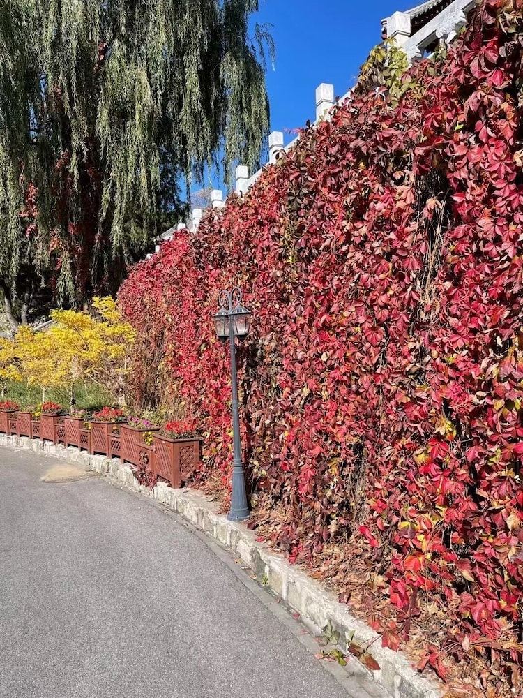 Mutianyu Greatwall Wangshanyuan Homestay 32/46