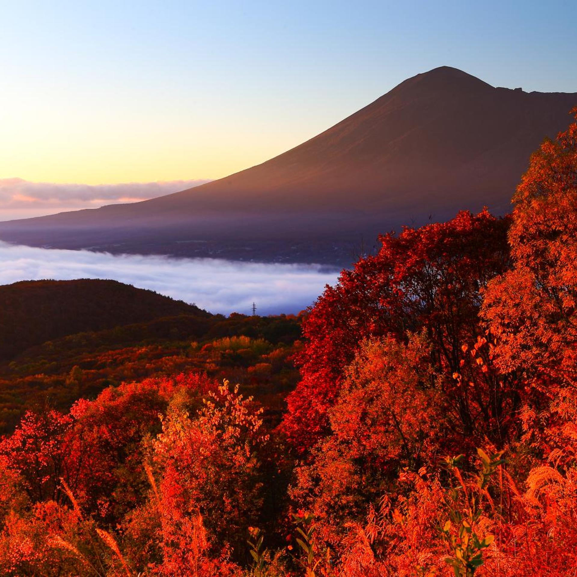 Hachimantai Heights 36/39