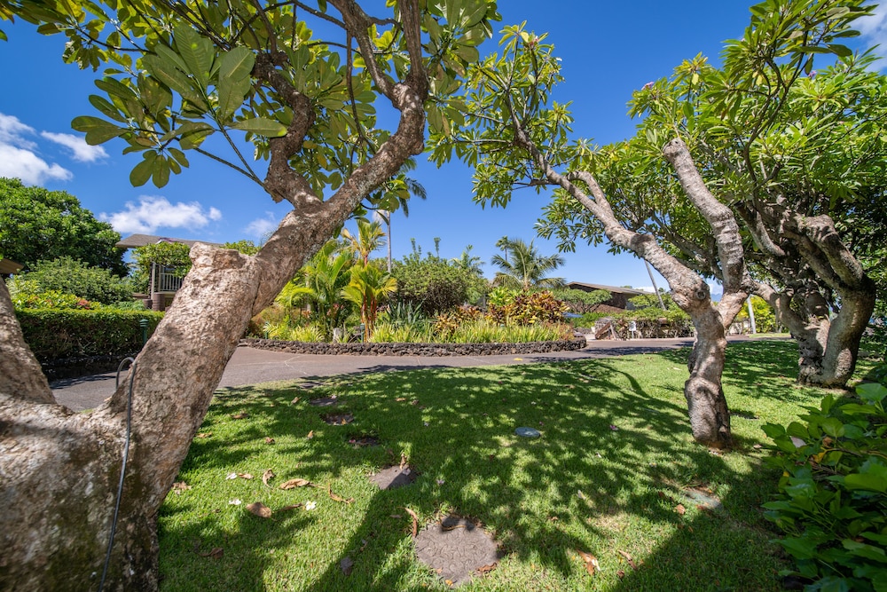 Napili Shores Maui by Outrigger 32/50