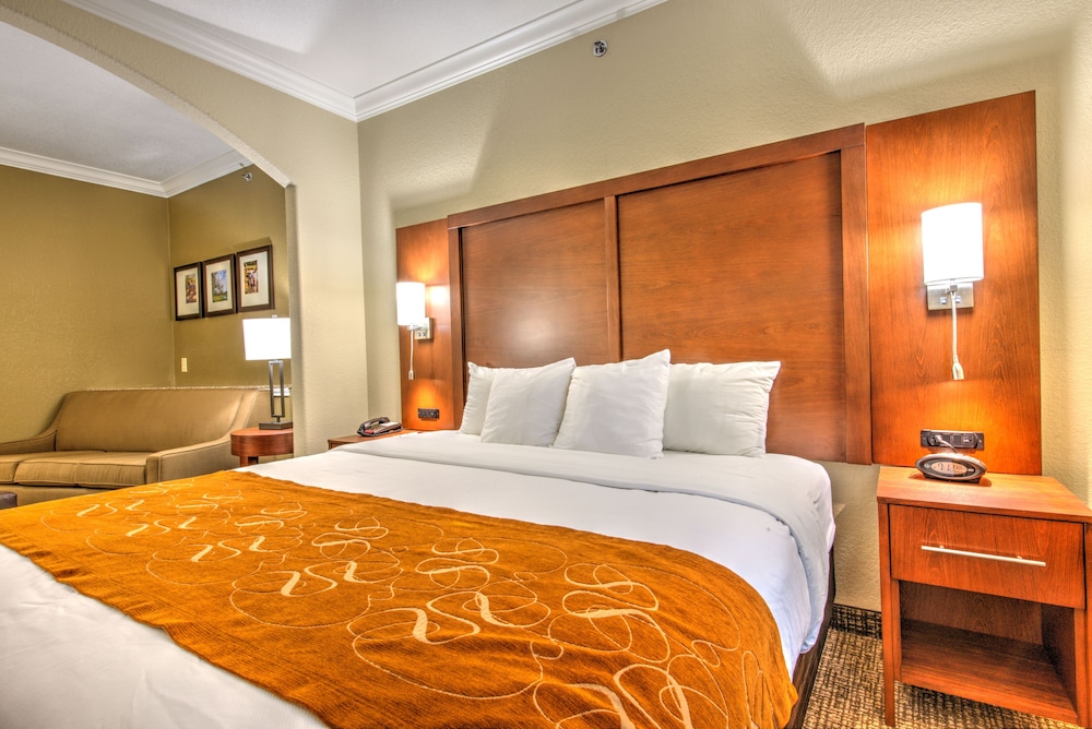 Comfort Suites Tomball Medical Center, TX 21/57