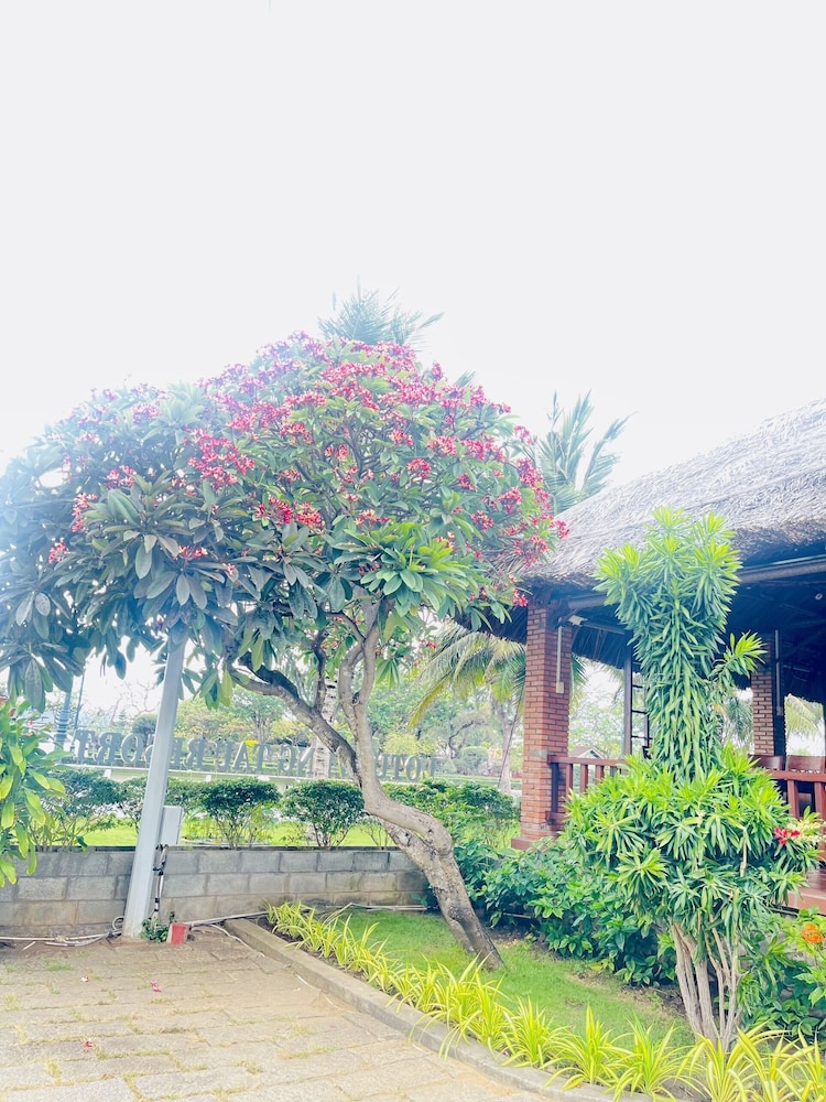 Lotus Vung Tau Resort 56/62