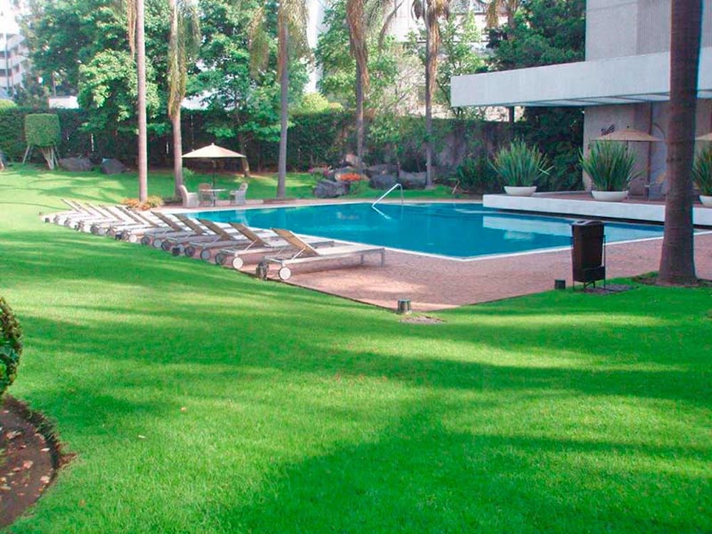 Royal Pedregal Hotel 26/47