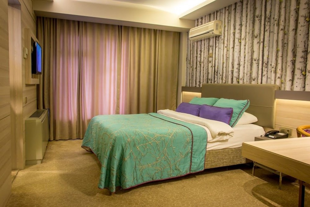 Asya Hotel 14/41