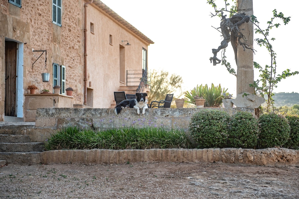 Finca Sos Ferres D'en Morey 21/50
