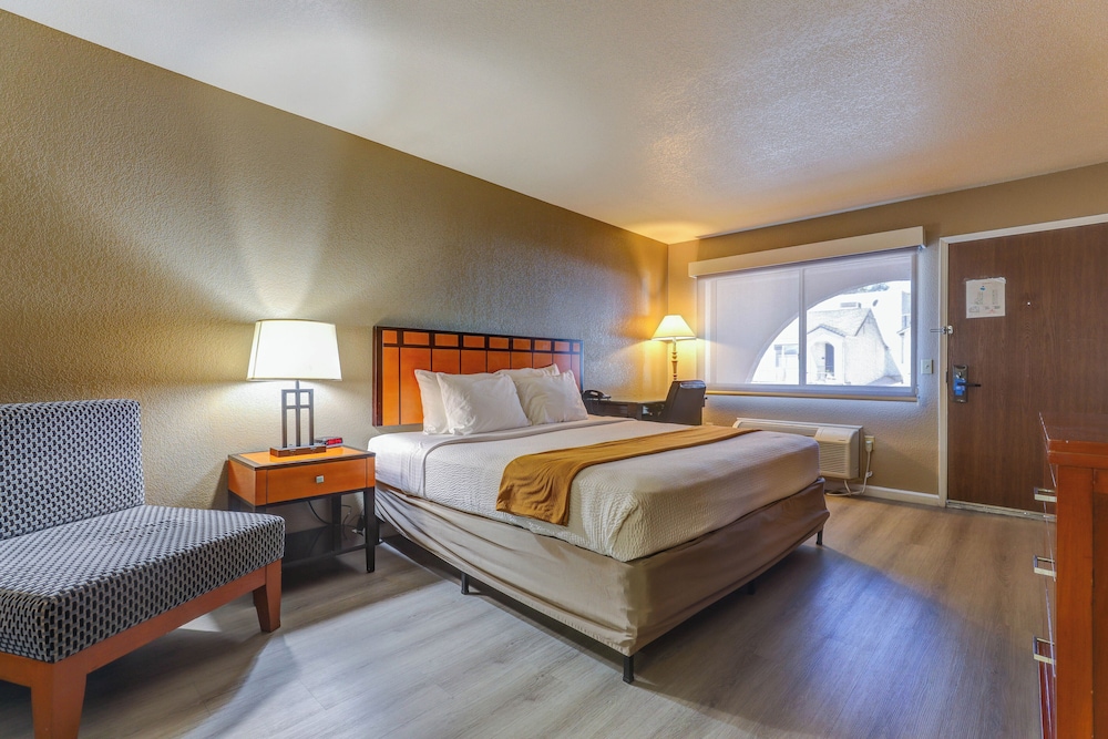 Efficiency, King Bed