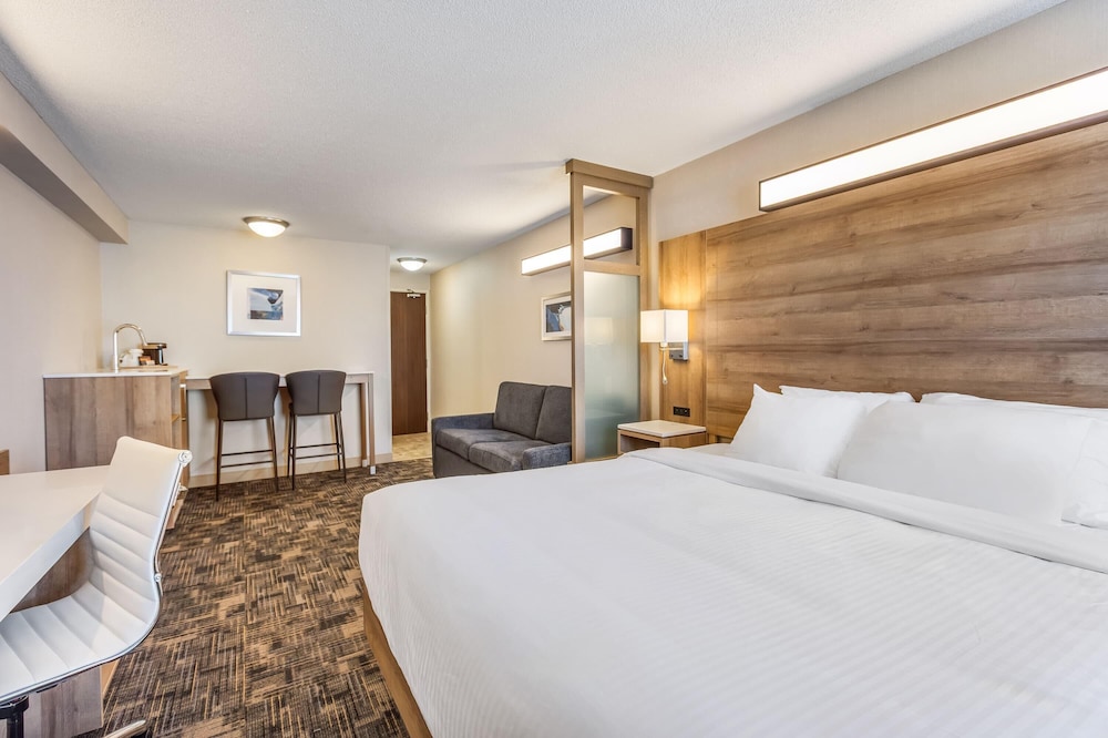 Suite, King Bed