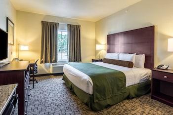 Studio, Suite, Multiple Beds, Accessible