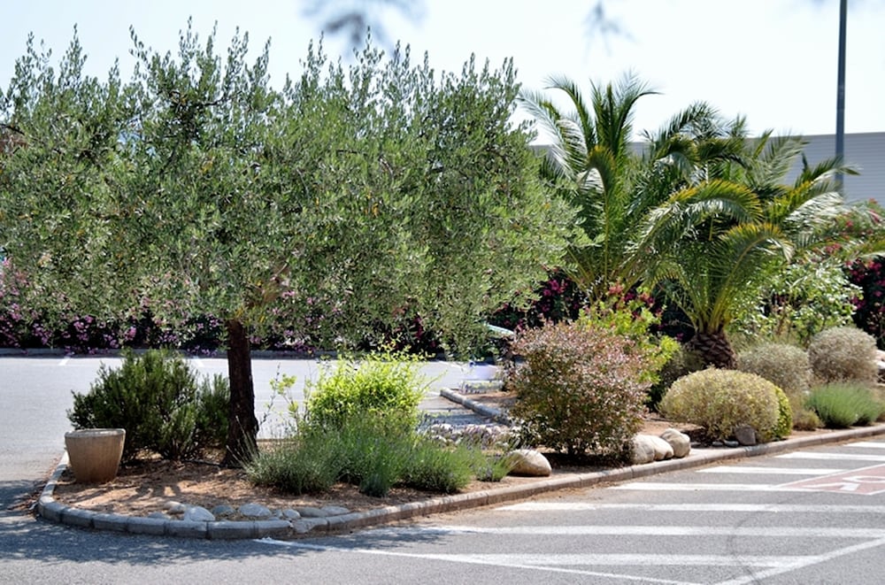 Ibis Budget Frejus Capitou A8 6/61