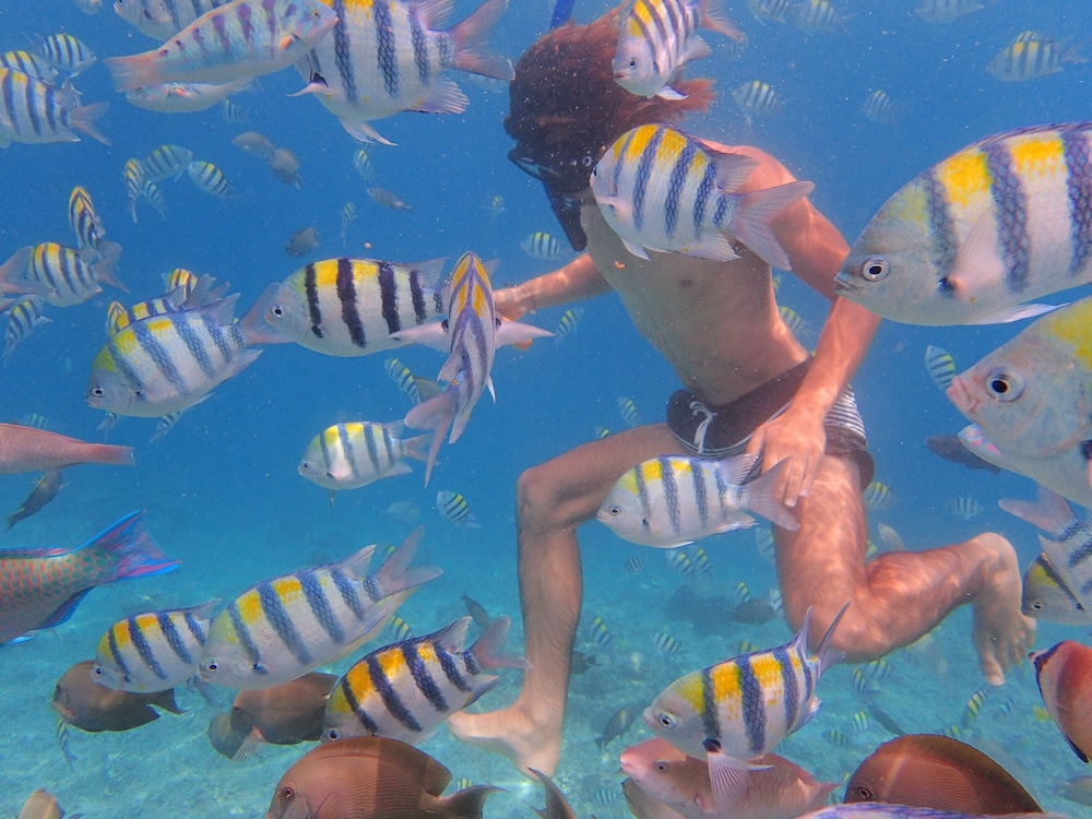 Villa Gili Bali Beach 32/50