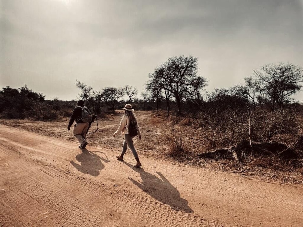 Thornybush Saseka Tented Camp 24/50