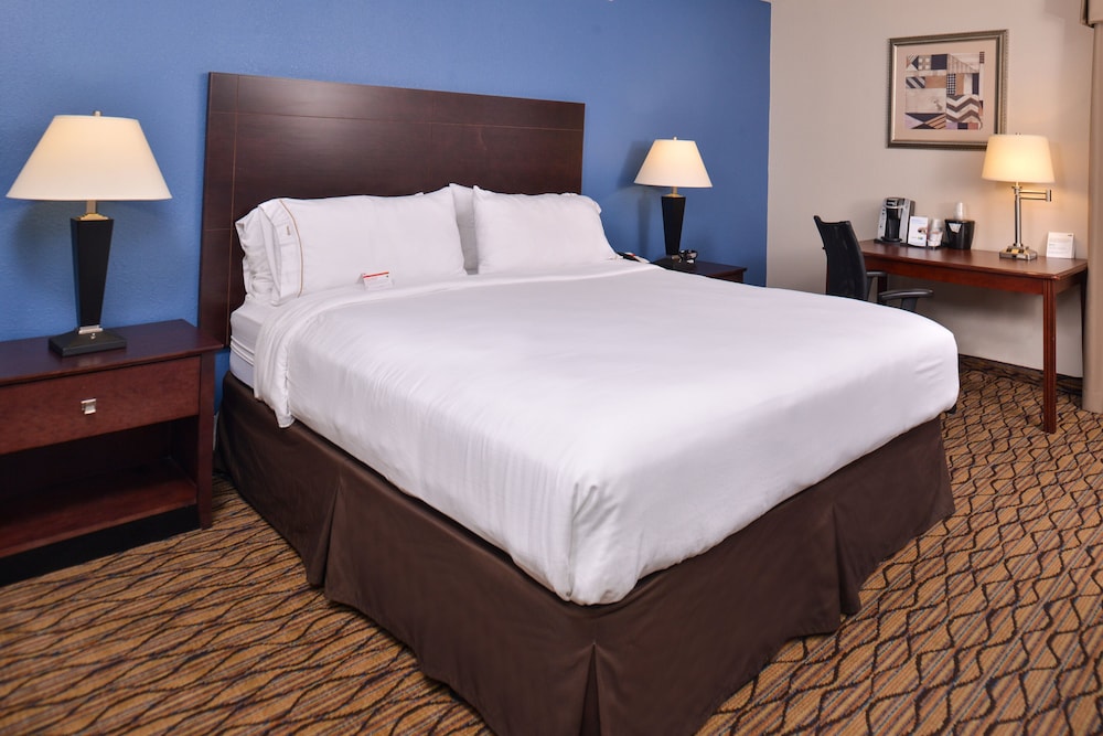 Holiday Inn Express & Suites Central Omaha, an IHG Hotel 23/50