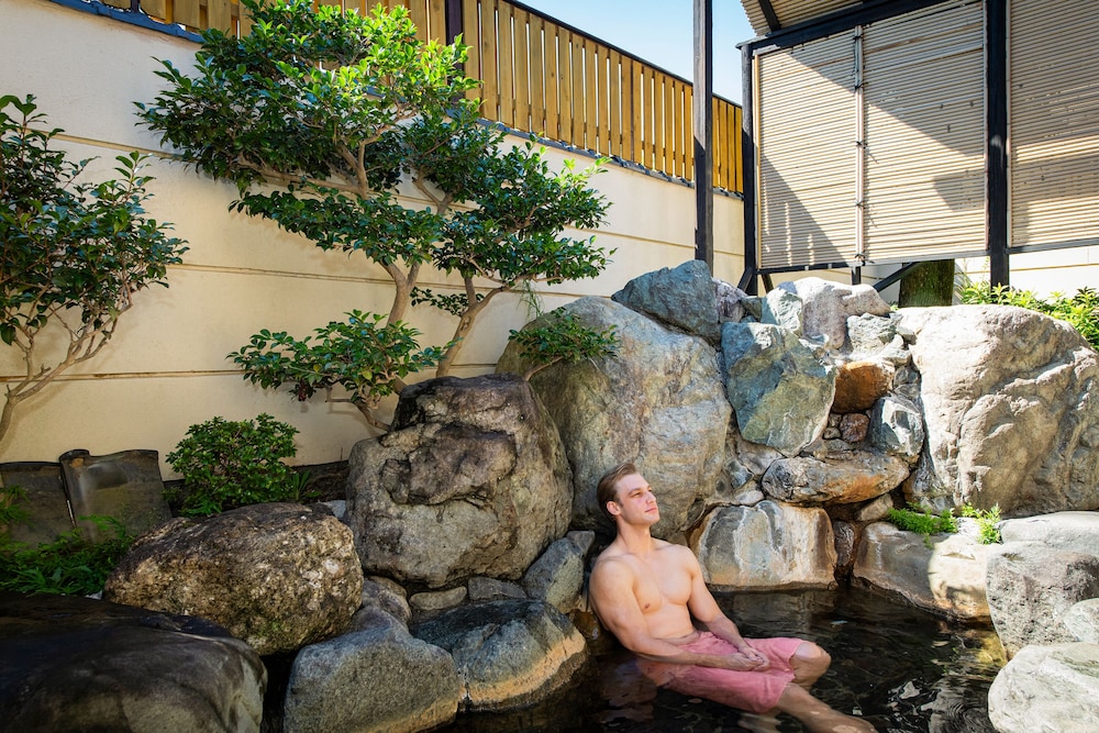 Hotel Hagoromo 31/50