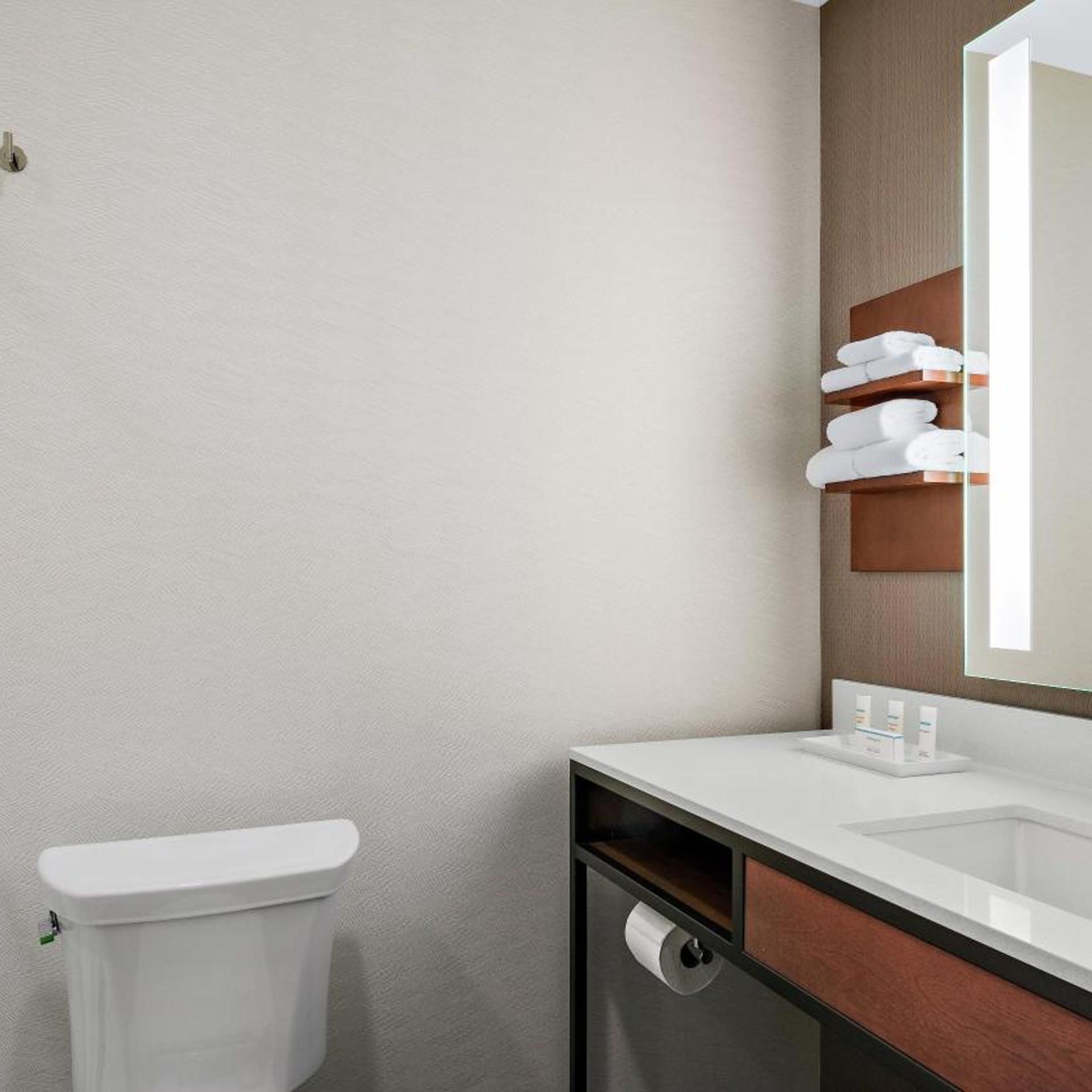 1 BEDROOM, SUITE, KING BED, WITH VIEW, CORNER