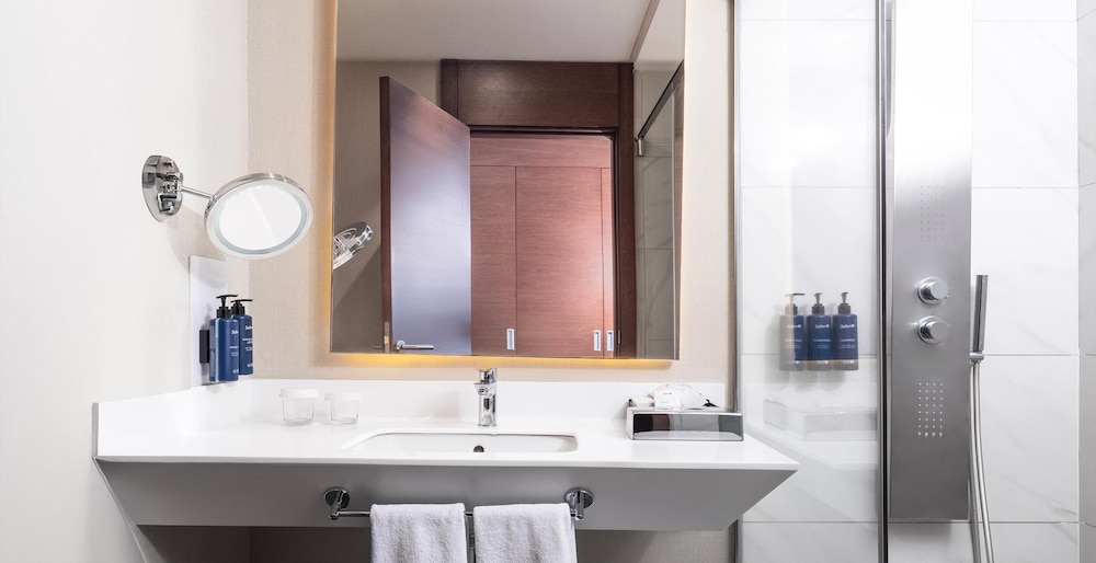 Radisson Blu Hotel Ankara Cankaya 56/56