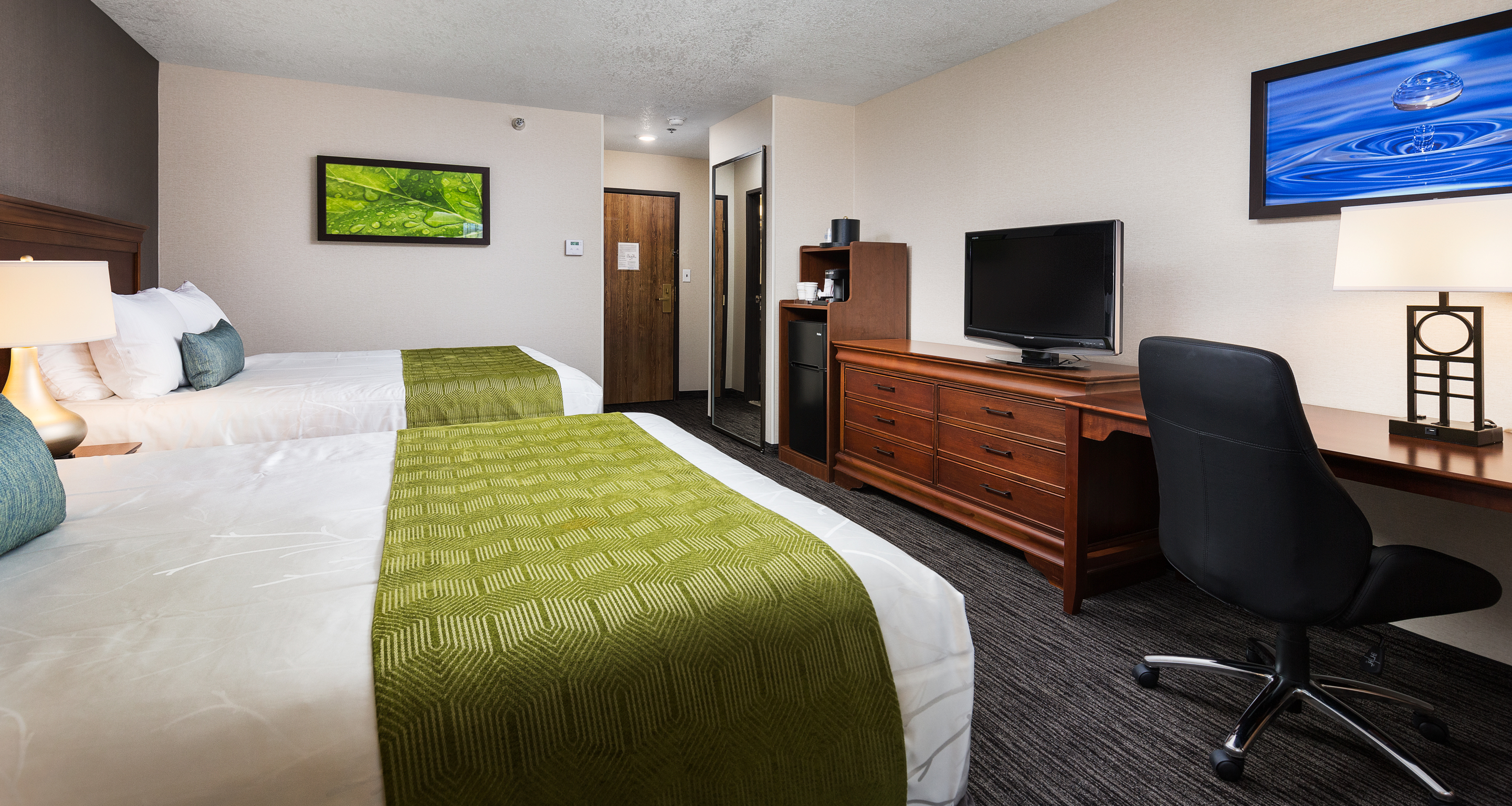 Room, Queen Bed