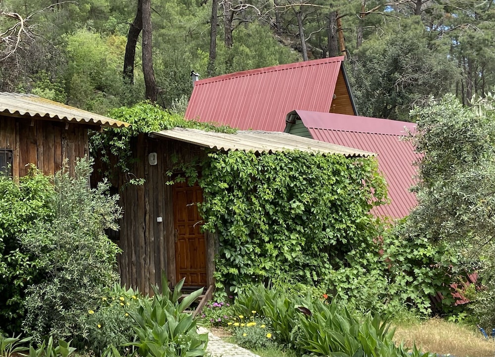 Olympos Mercan Pansiyon 34/50