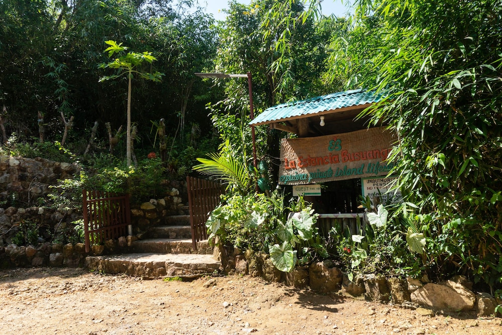 surroundings