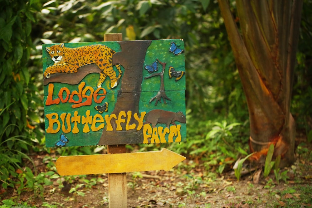 THE LODGE AT PICO BONITO 12/76