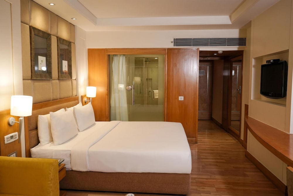 Park Plaza - Ludhiana 16/79