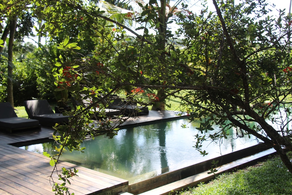 Kaju Green Eco Lodges 38/50