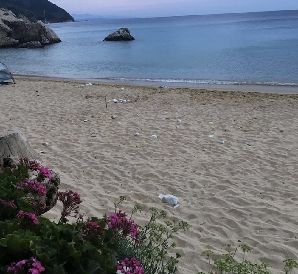 Harmony Sea Side 41/50