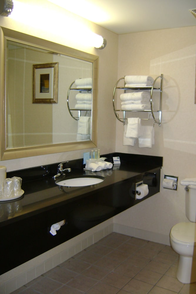 Holiday Inn Express & Suites Carneys Point - Pennsville, an IHG Hotel 18/51
