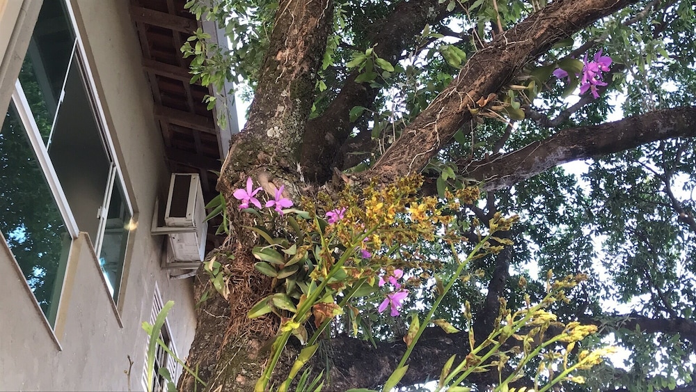 Hotel Pousada Calliandra 41/45