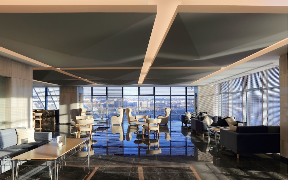 THE ANKARA HOTEL 43/65