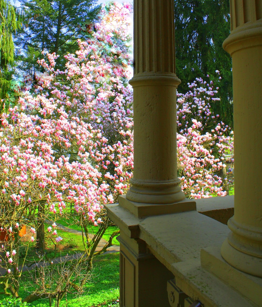 Villa Hammerschmiede Hotel 42/50
