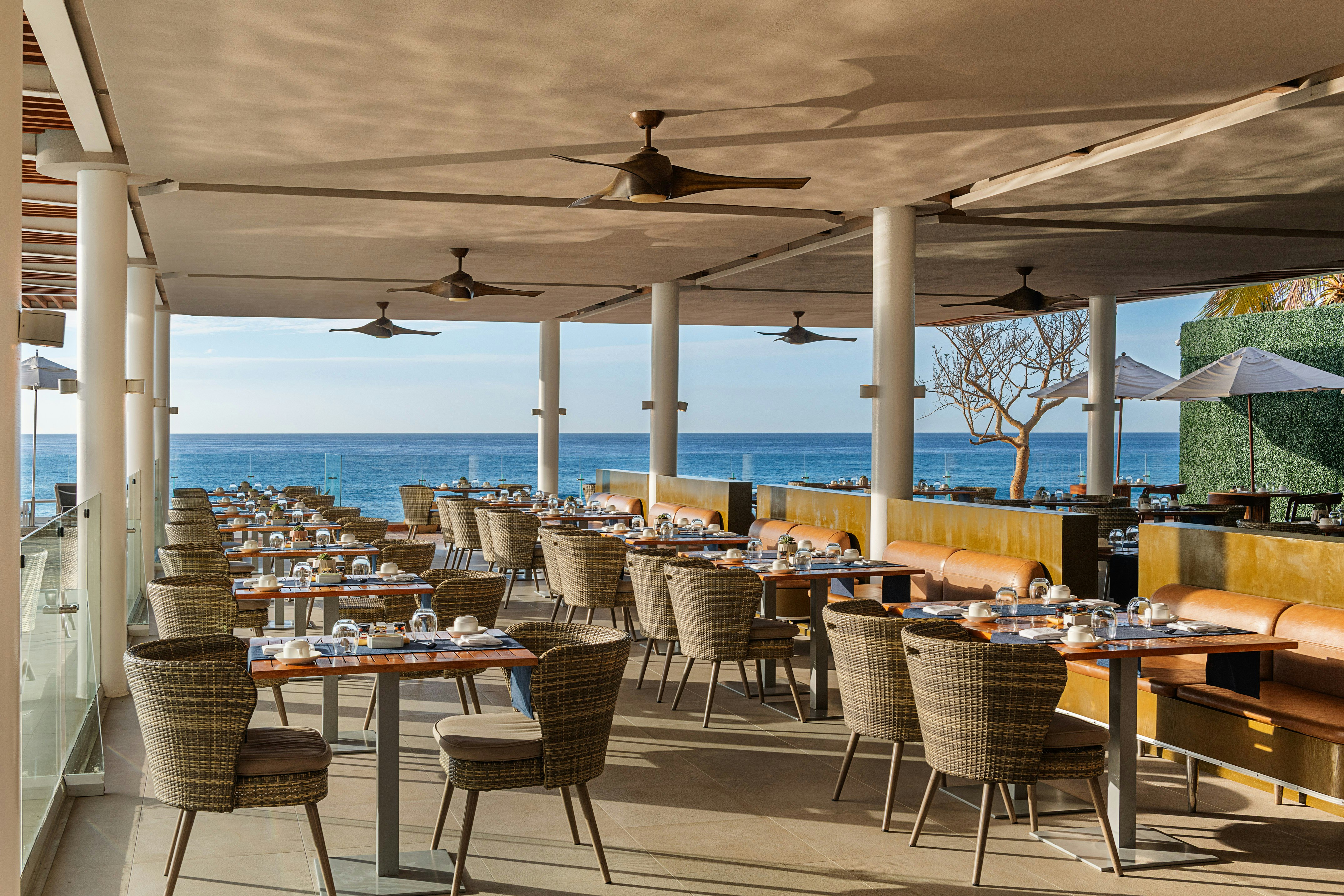 Paradisus Los Cabos - Adults Only 33/50