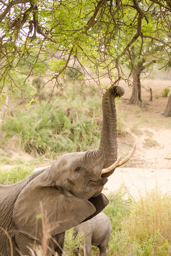 Elandela Private Game Reserve And Luxury Lodge 20/50
