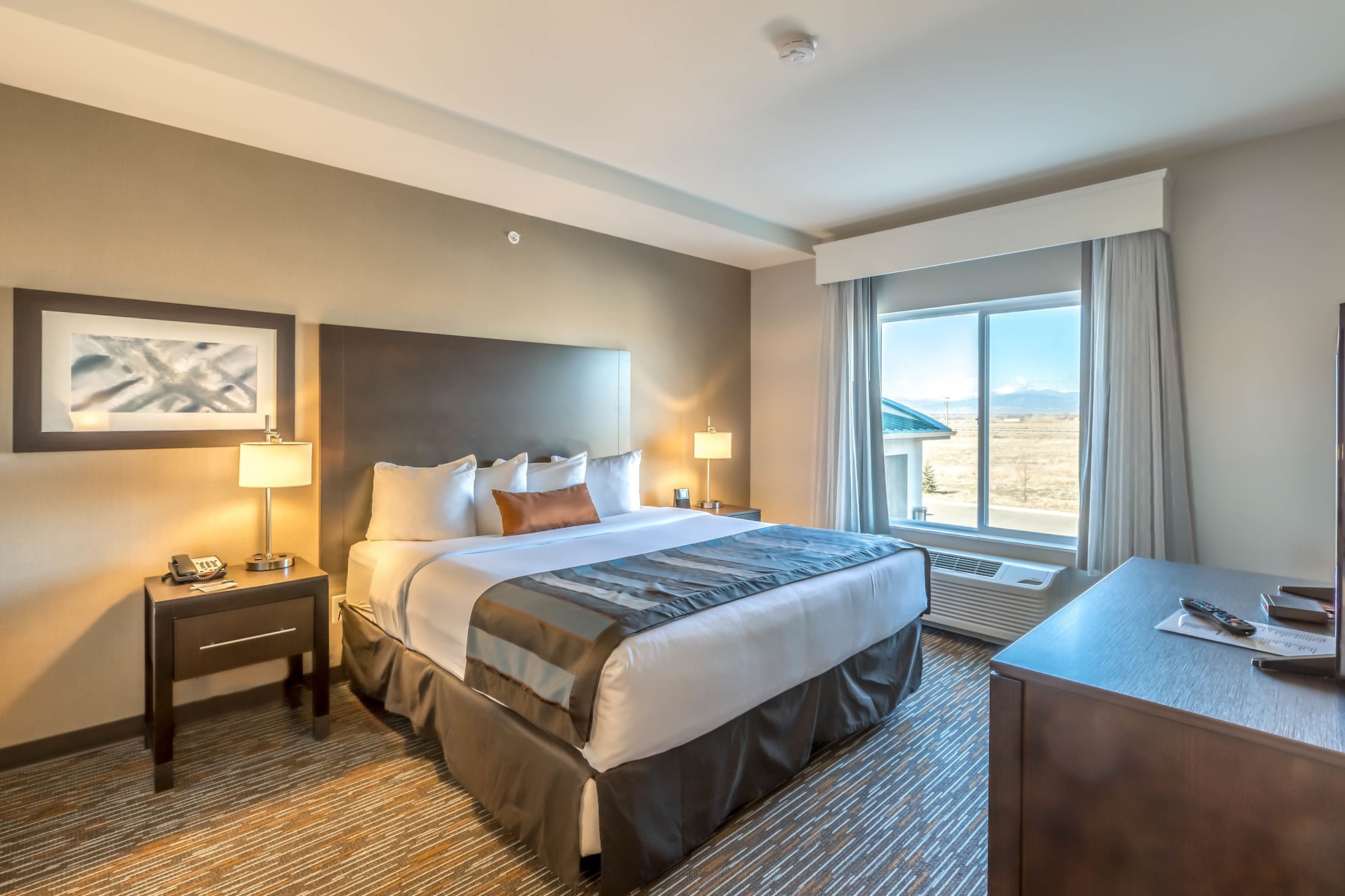 Room, King Bed