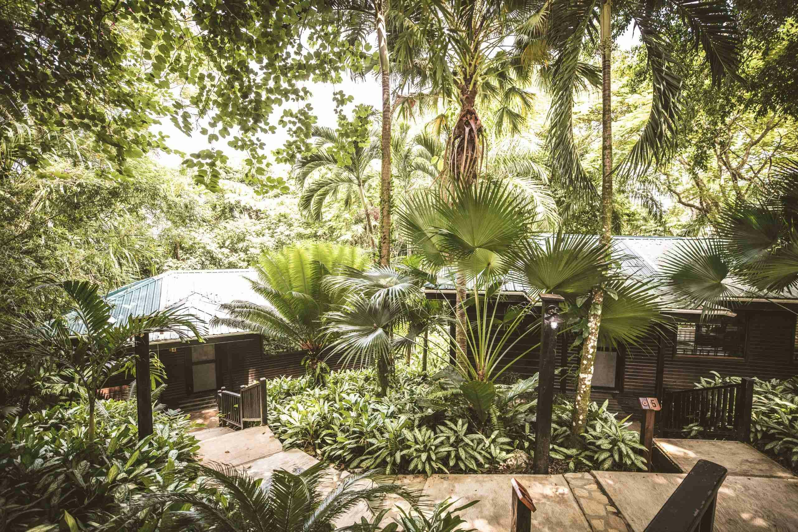 Copal Tree Lodge, a Muy'Ono Resort 9/17