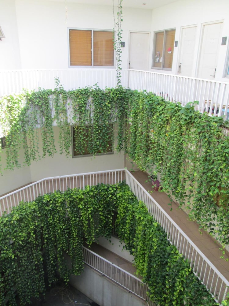 LeGreen Suite Penjernihan 50/52
