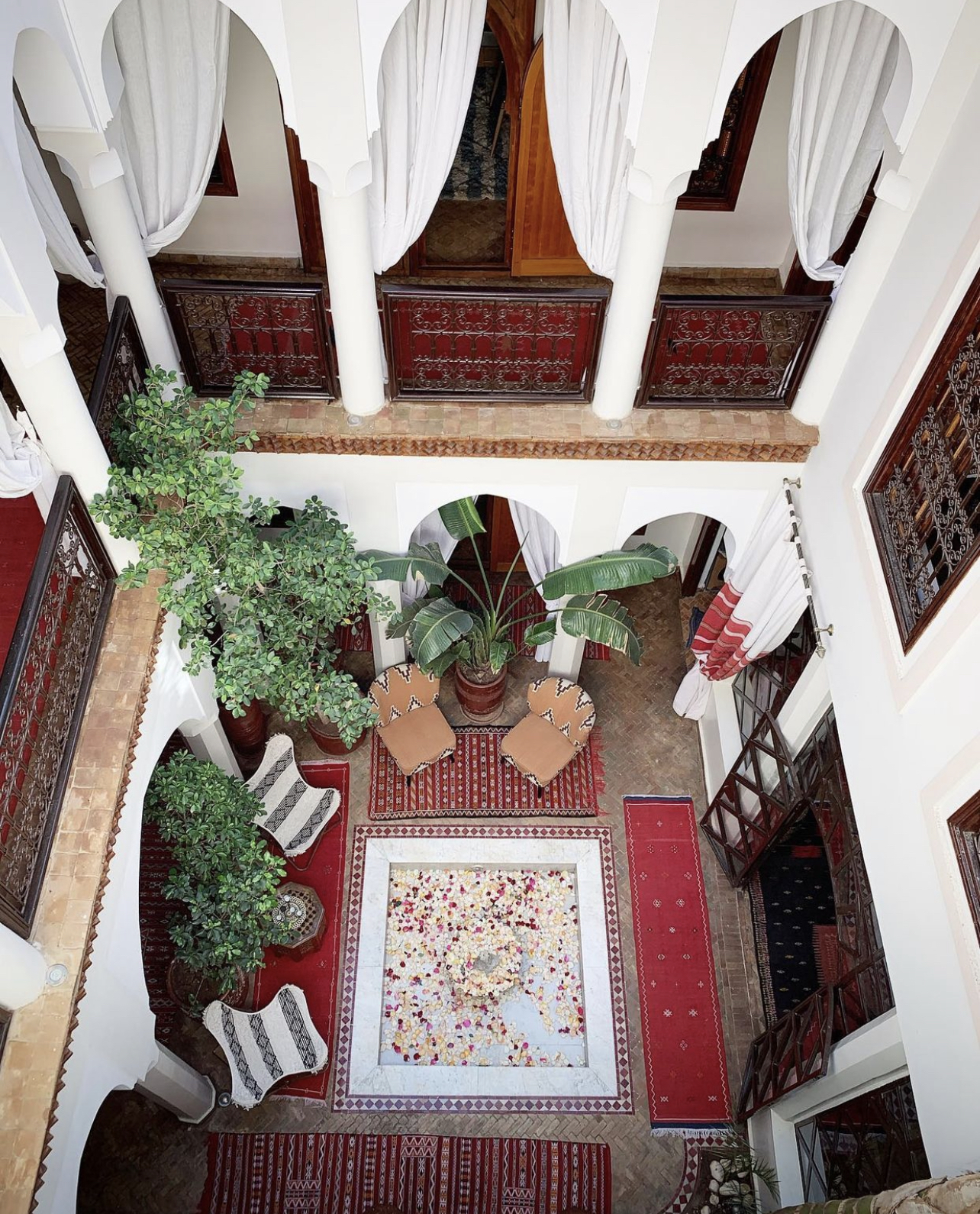 RIAD ANAIS 2/16