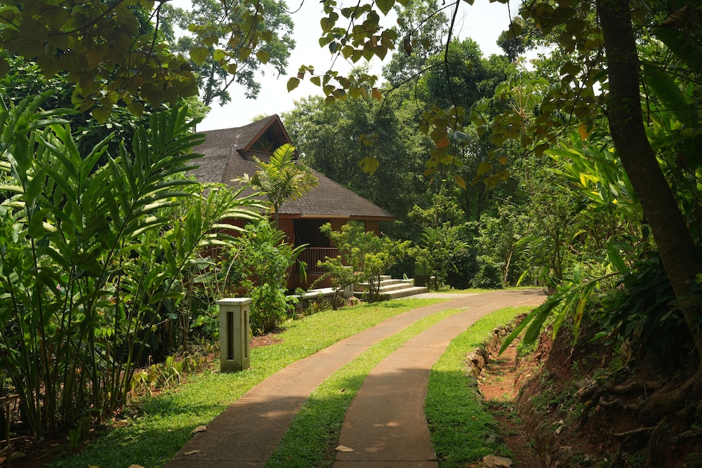 The Tamara Coorg 46/49