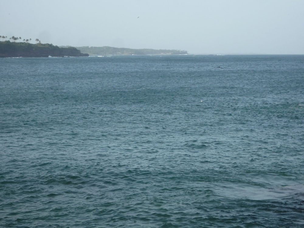 Blow Hole View Home Stay 6/7