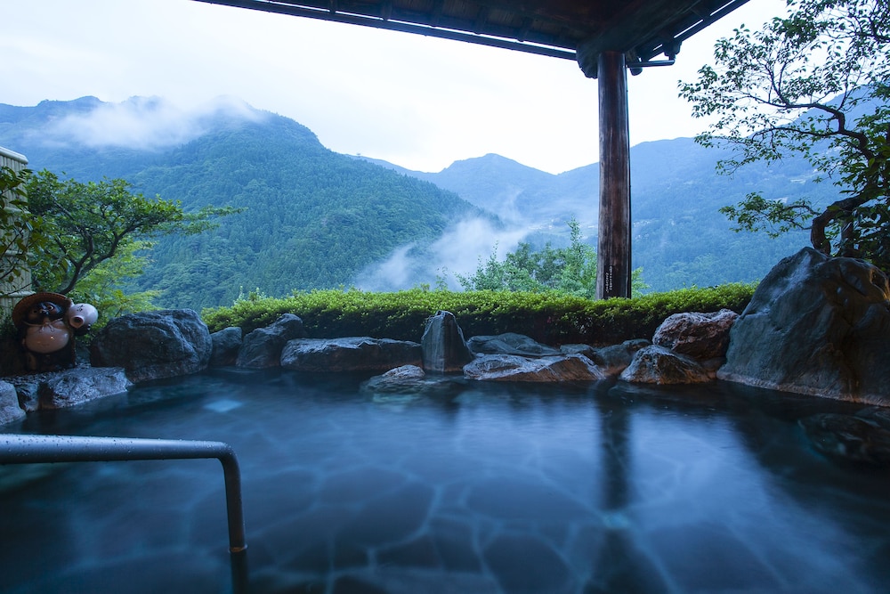 Shin Iya Onsen Hotel Kazurabashi 31/55