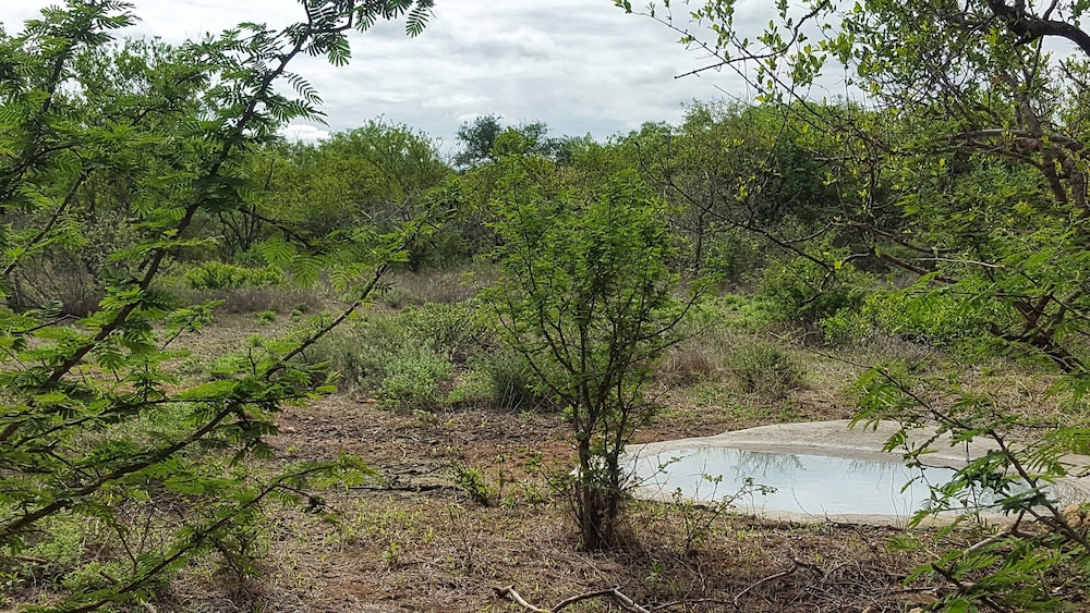 The Baobab Bush Lodge 41/50
