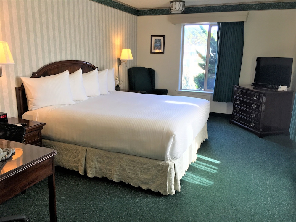 Emerald Dolphin Inn 16/62