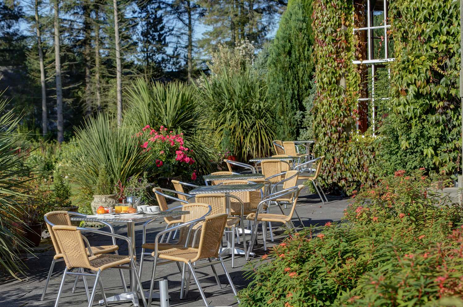 Best Western Balgeddie House Hotel 50/63