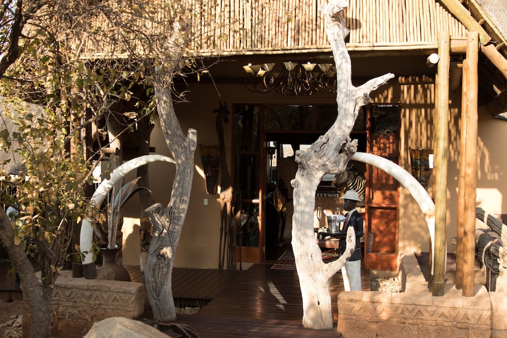 Phumelelo Lodge 6/22