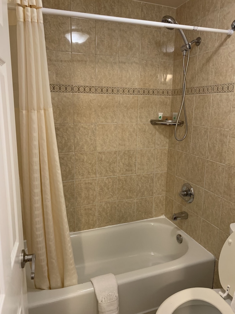 Lombard Plaza Motel 59/64