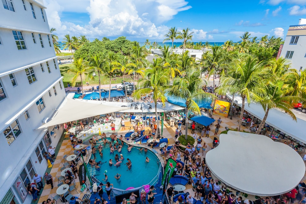 Clevelander South Beach - Adults Only 31/42