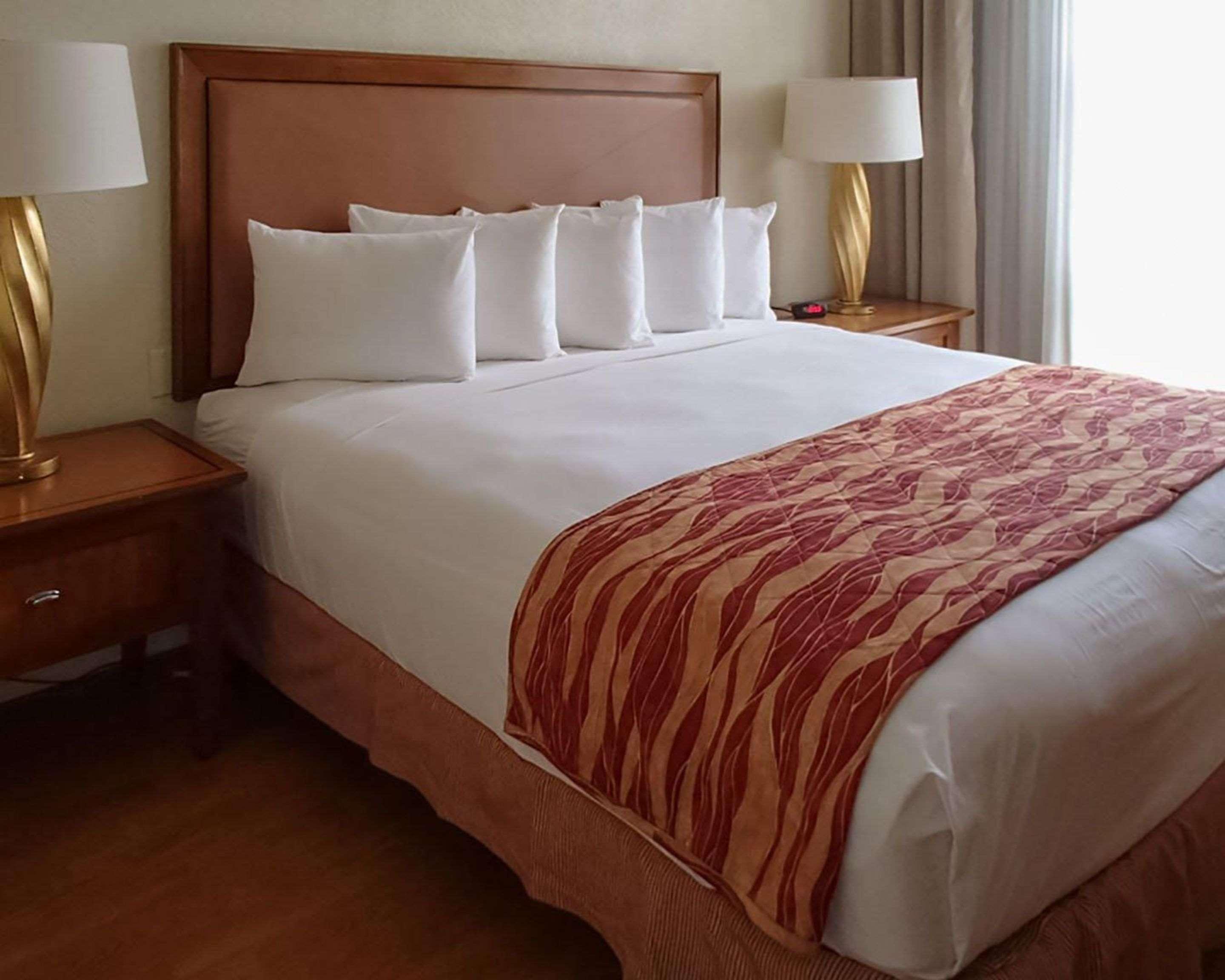 SUITE, KING BED