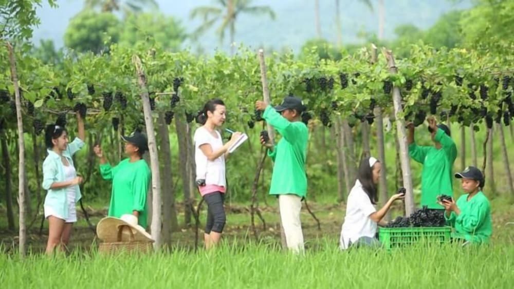 Dewantara Boutique Villa Resort 46/50