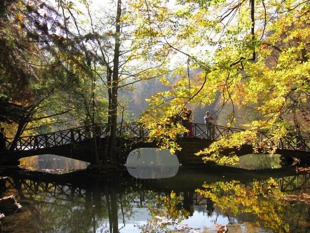 Elit Palace Bolu 34/40