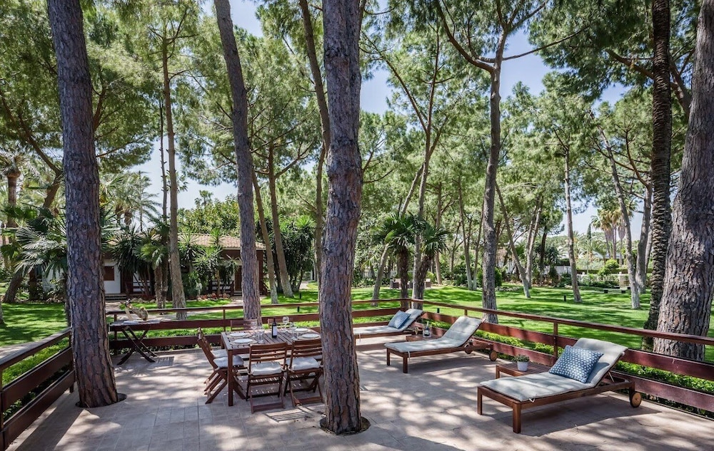 Resort Oasis 33/50