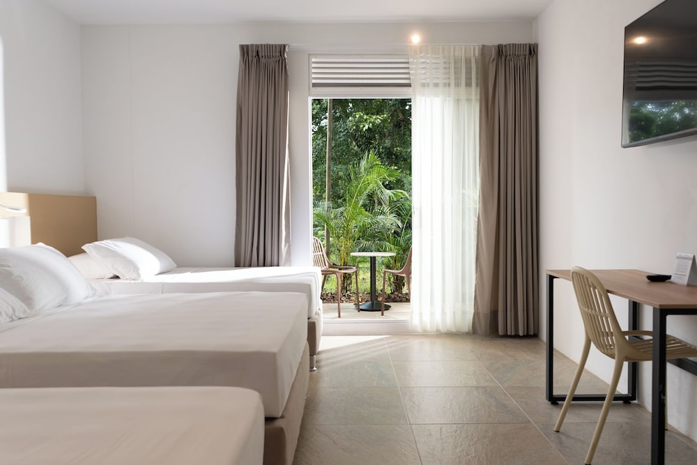 hotel las palmeras 14/50